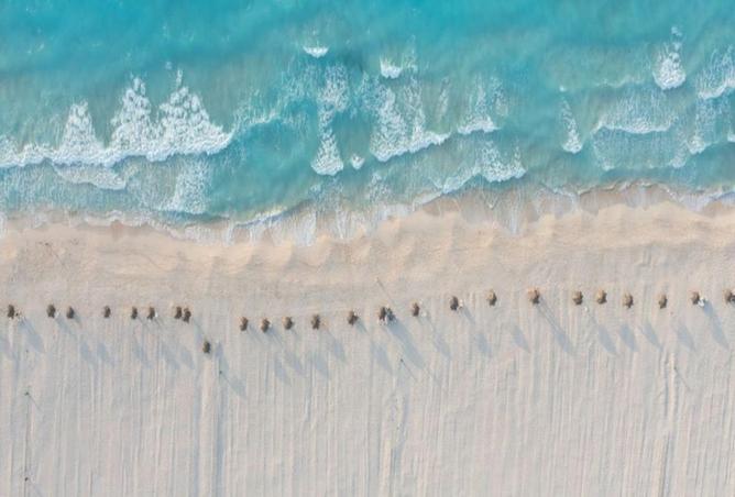 56501645 - Property Image 3