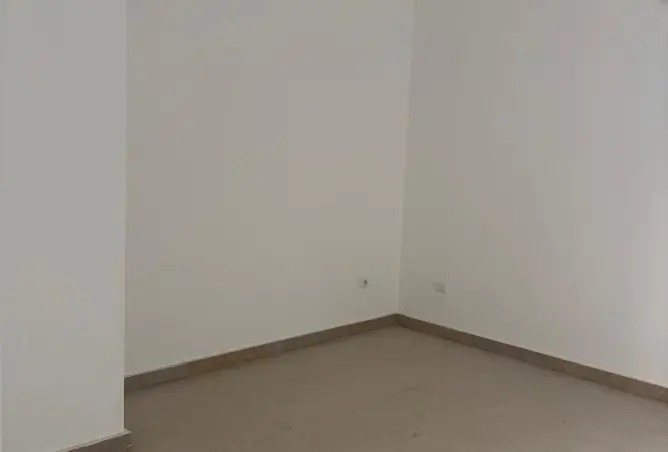 110748794 - Property Image 3