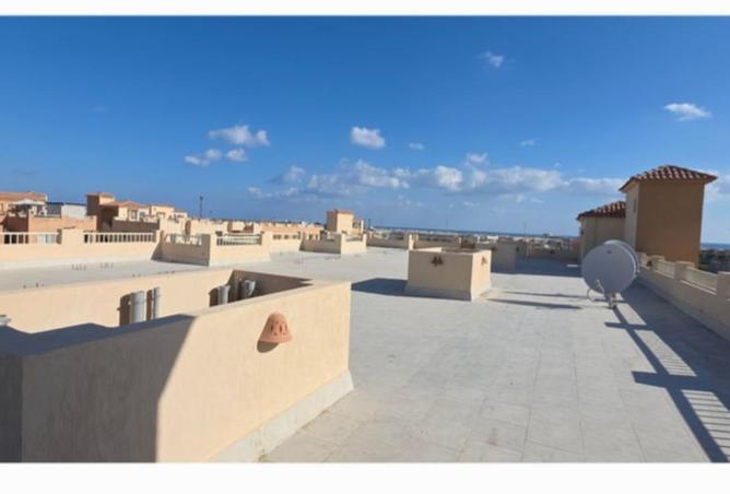 64651323 - صورة العقار 3