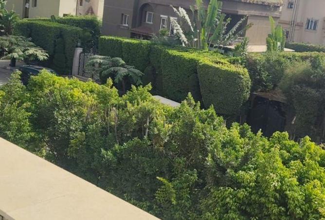 66432472 - صورة العقار 2