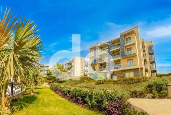 121135630 - Property Image 2