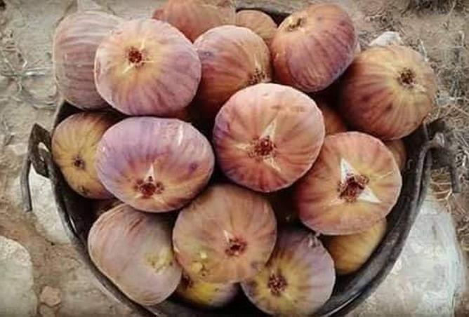 62641044 - صورة العقار 2