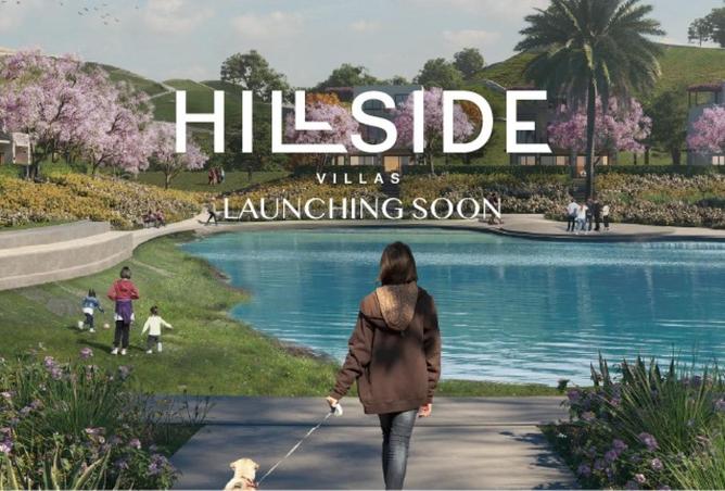 67739189 - صورة العقار 3