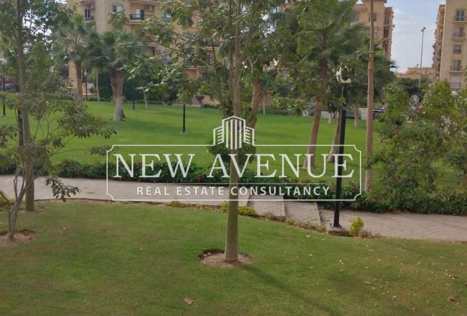 59243153 - صورة العقار 2