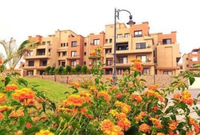 8705267 - صورة العقار 3