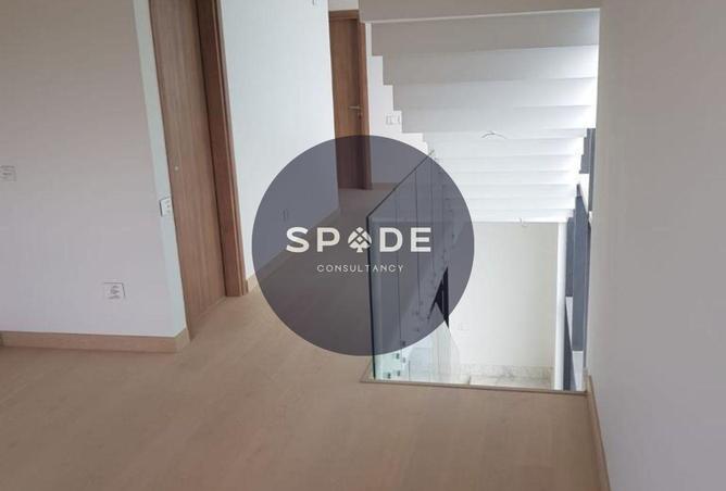 56250439 - Property Image 3