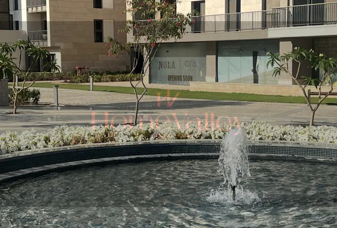 109913742 - Property Image 3