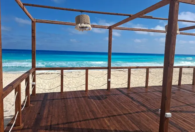 109641344 - Property Image 3
