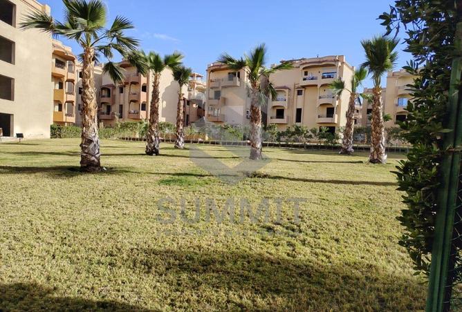 65922053 - Property Image 3