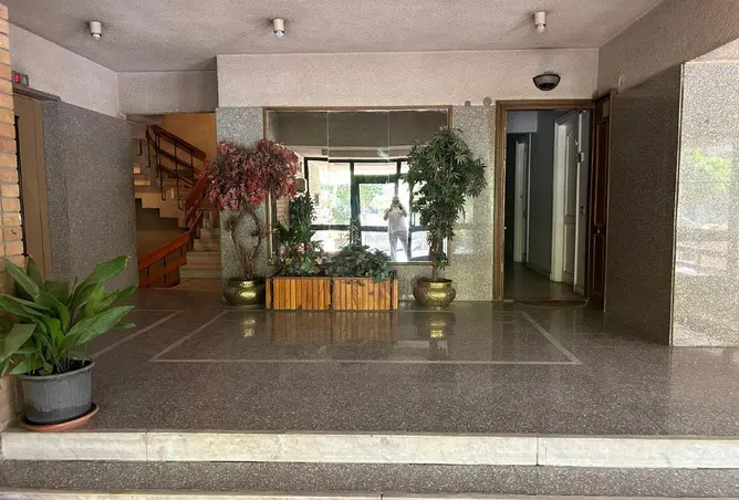 66437276 - Property Image 3
