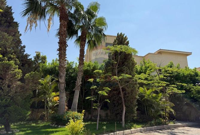 90726465 - الصورة الرئيسية للعقار