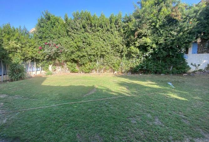 8711896 - صورة العقار 2