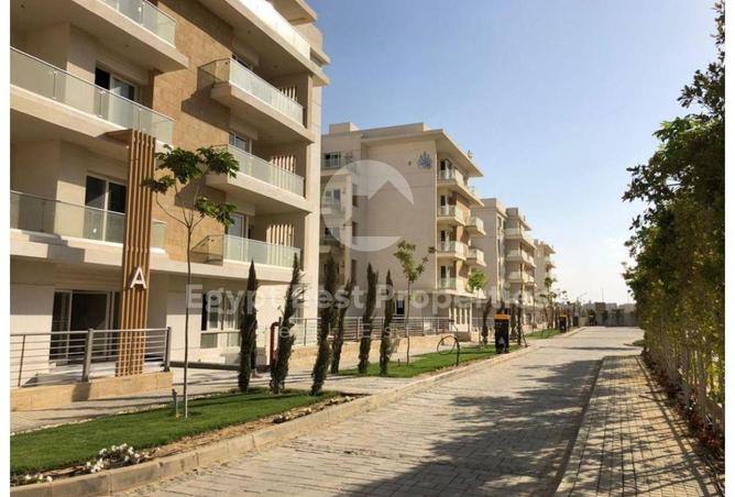 62649779 - الصورة الرئيسية للعقار