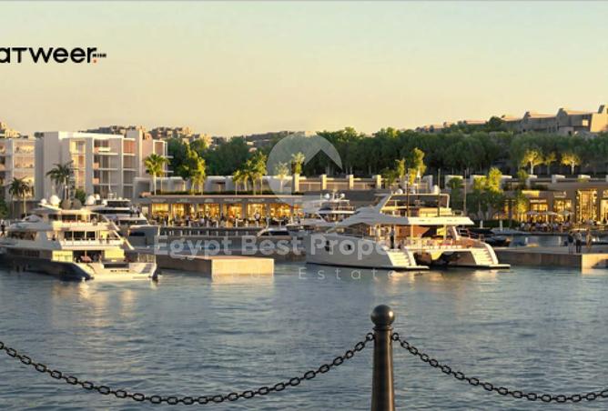 99810442 - Property Image 3