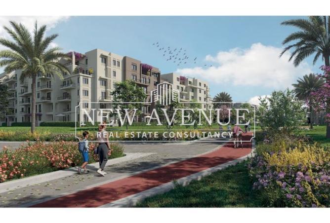 57232594 - صورة العقار 3