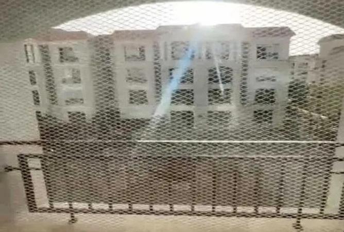 66954502 - صورة العقار 3