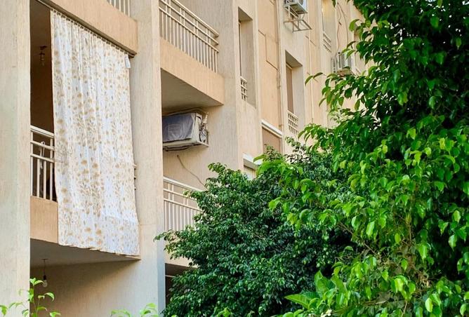 61445482 - صورة العقار 3