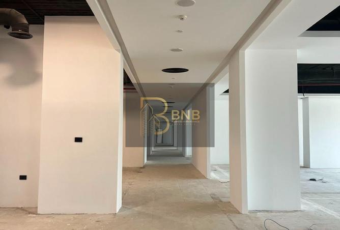 100648450 - Property Image 3