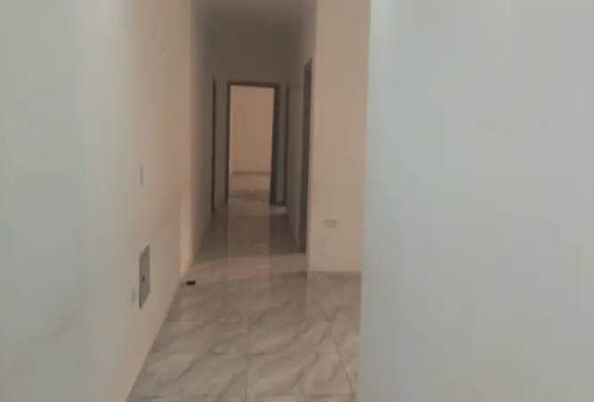 116492563 - Property Image 2