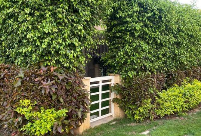 97715265 - صورة العقار 2