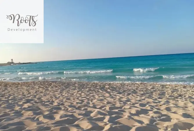 120618715 - Property Image 2