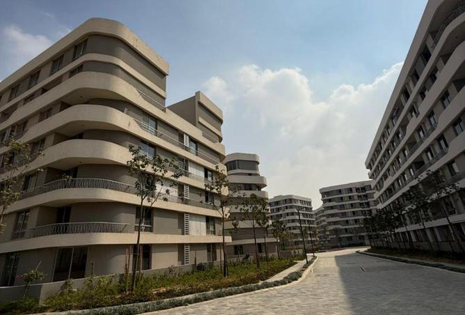 69302542 - Property Image 3