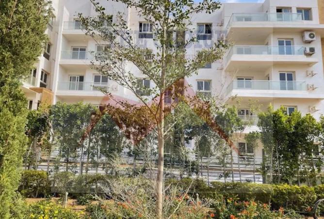 8643951 - Property Image 3