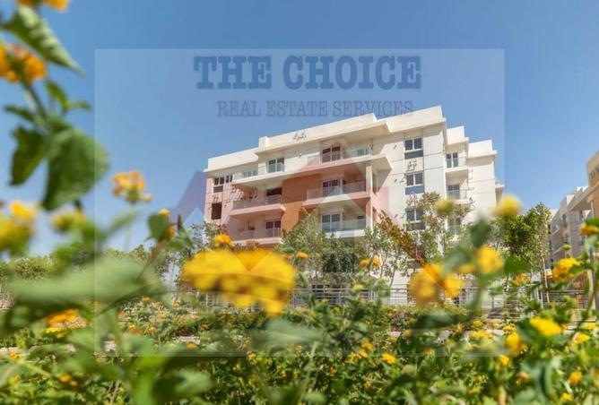 8643951 - Property Image 2