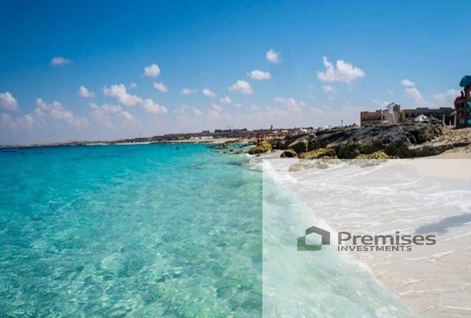 66968000 - Property Image 3