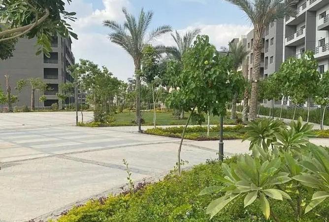 64129645 - صورة العقار 3