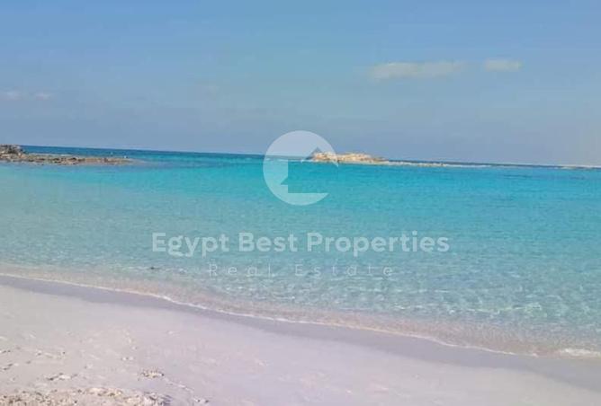 98008877 - Property Image 2