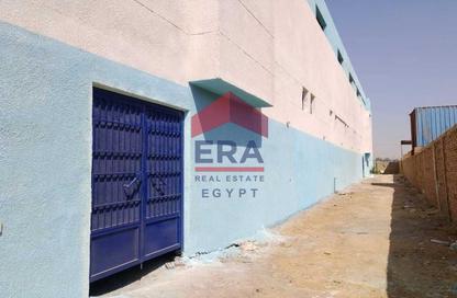 Factory - Studio - 7+ Bathrooms for sale in Kom Osheem - Madinat Al Fayum - Al Fayum
