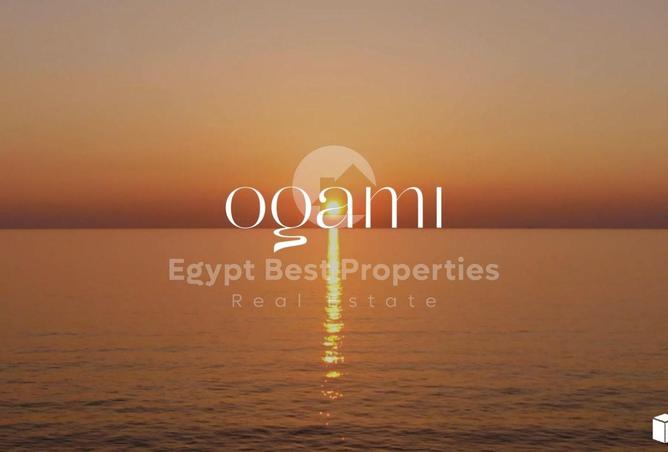99118071 - صورة العقار 2