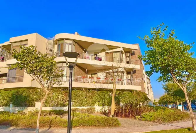 116759366 - Property Image 2