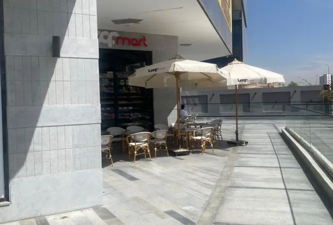 117284267 - Property Image 3