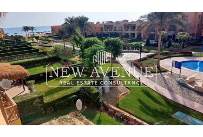 64134137 - صورة العقار 3