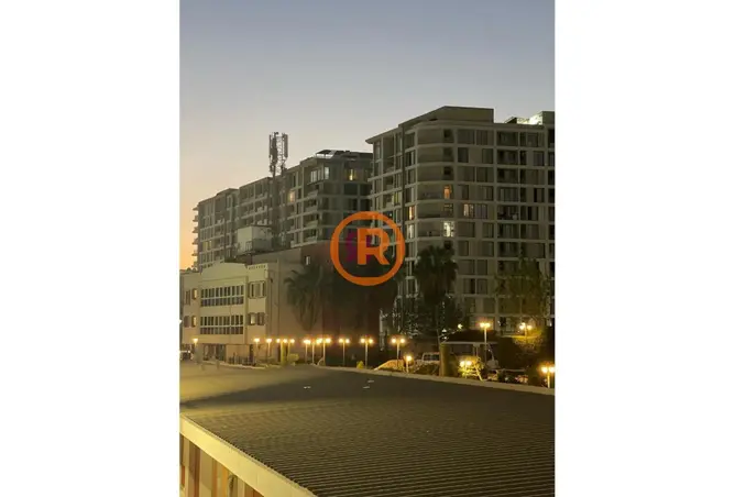 117267785 - Property Image 3