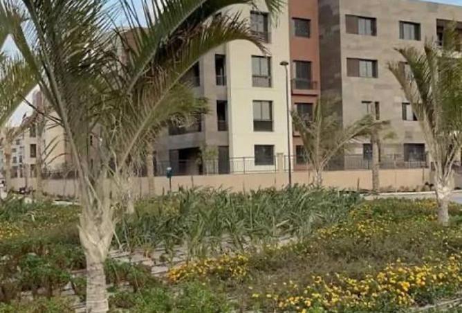 55263981 - Property Image 2