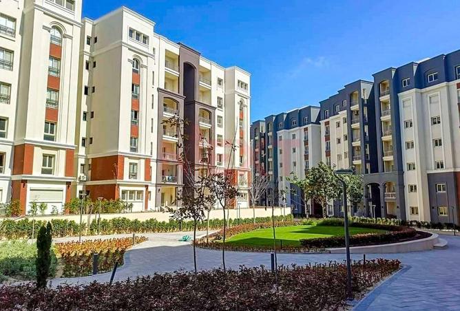 58251599 - صورة العقار 3