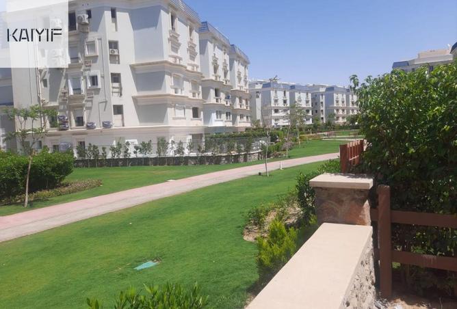 8456739 - Property Image 3