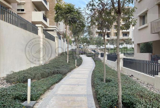 62651393 - صورة العقار 2