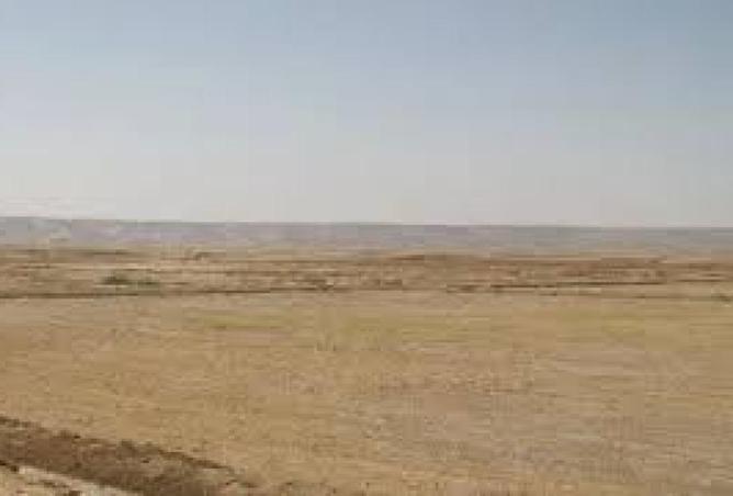 55510271 - Property Main Image