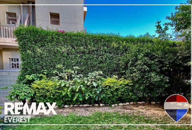 8575485 - Property Image 3