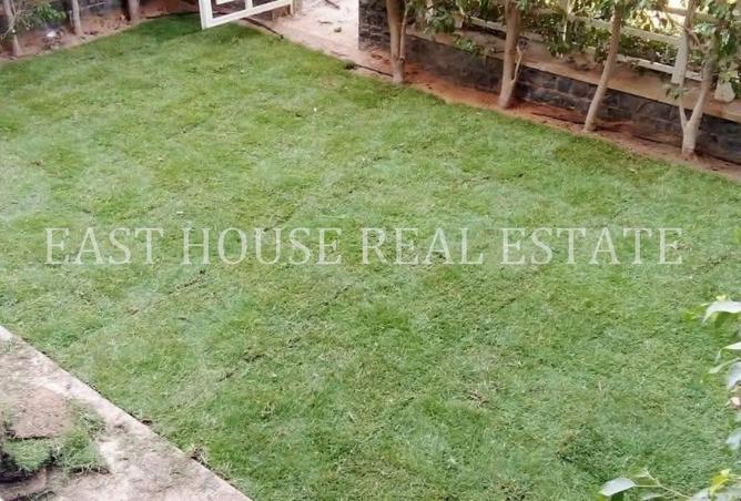 8717226 - صورة العقار 2