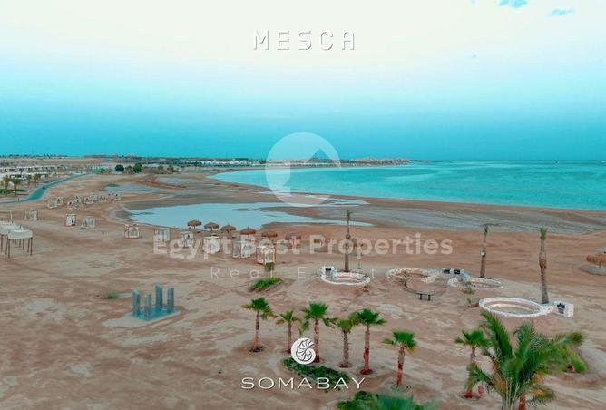 57749991 - صورة العقار 2