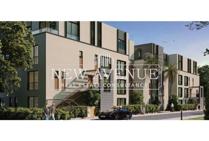 62650340 - Property Image 3