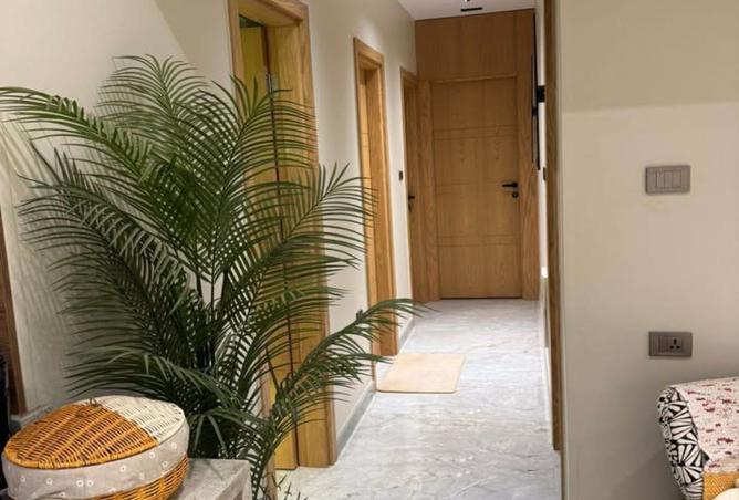 8507113 - صورة العقار 3