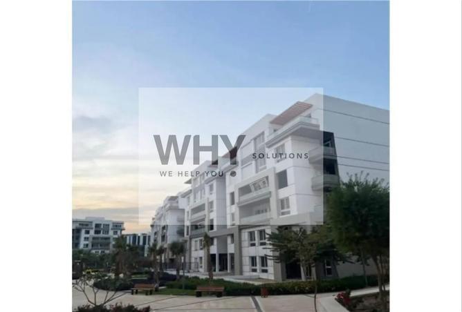 8676338 - Property Image 3