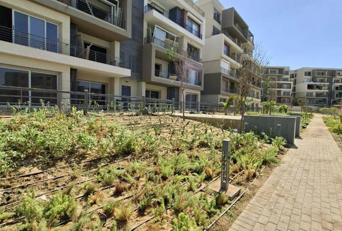 8462737 - صورة العقار 3