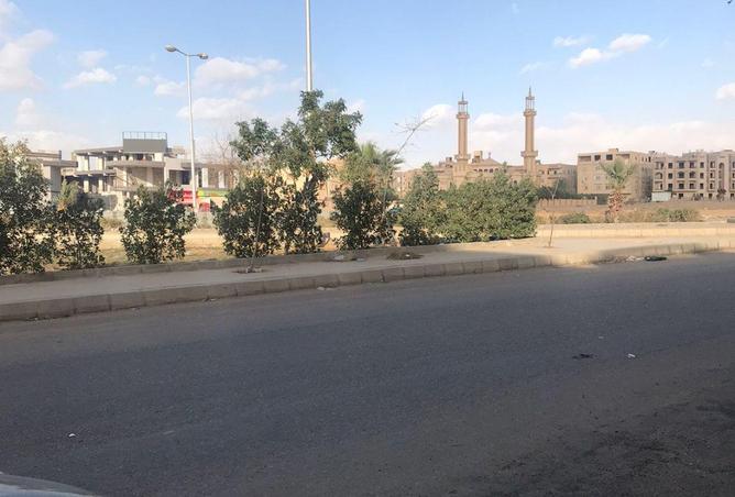 8626009 - صورة العقار 3